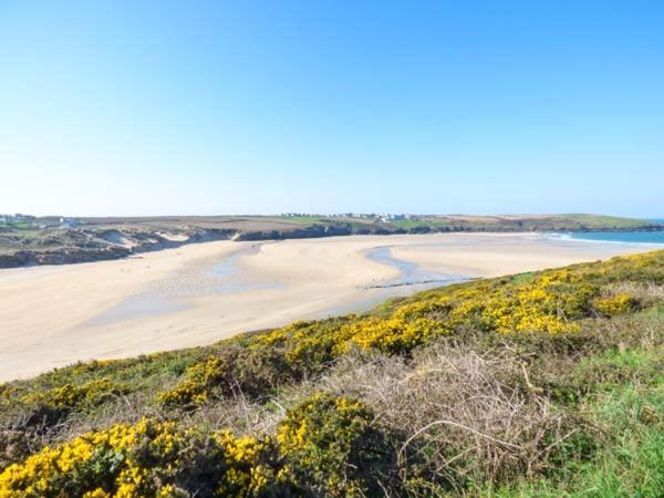 Saltwater Daire New Quay Dış mekan fotoğraf